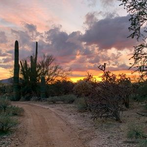 Meet your Posher, Makenzie